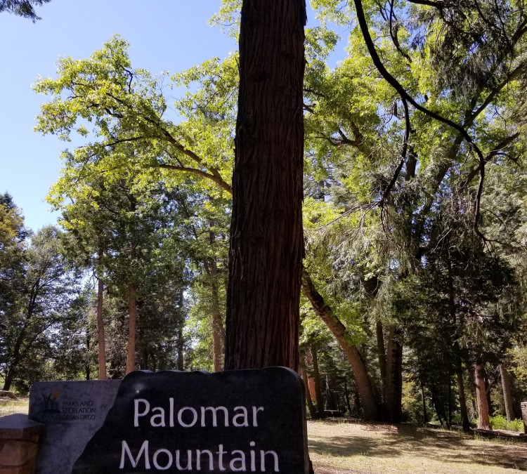 Palomar County Park (Palomar&nbspMountain,&nbspCA)